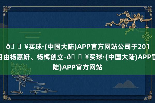 🔥买球·(中国大陆)APP官方网站公司于2016年12月由杨惠妍、杨梅创立-🔥买球·(中国大陆)APP官方网站