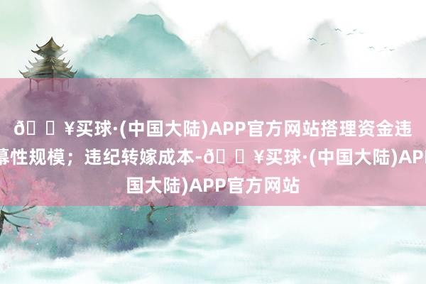 🔥买球·(中国大陆)APP官方网站搭理资金违纪流入闭幕性规模；违纪转嫁成本-🔥买球·(中国大陆)APP官方网站