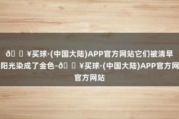 🔥买球·(中国大陆)APP官方网站它们被清早的阳光染成了金色-🔥买球·(中国大陆)APP官方网站