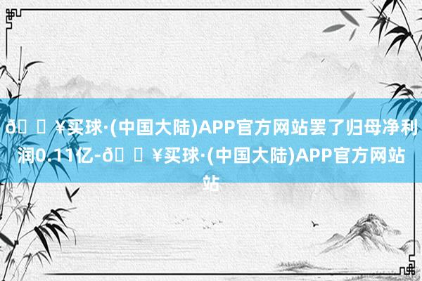 🔥买球·(中国大陆)APP官方网站罢了归母净利润0.11亿-🔥买球·(中国大陆)APP官方网站