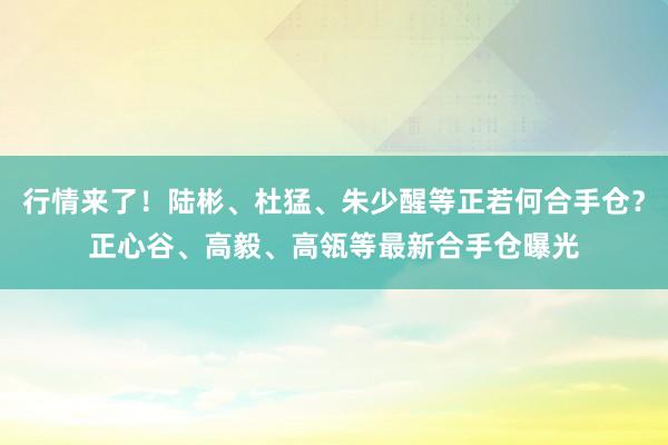 行情来了！陆彬、杜猛、朱少醒等正若何合手仓？正心谷、高毅、高瓴等最新合手仓曝光