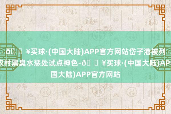 🔥买球·(中国大陆)APP官方网站岱子港被列入安陆市农村黑臭水惩处试点神色-🔥买球·(中国大陆)APP官方网站