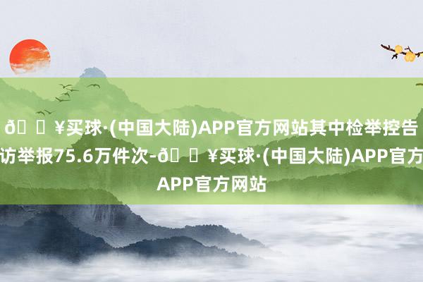 🔥买球·(中国大陆)APP官方网站其中检举控告类信访举报75.6万件次-🔥买球·(中国大陆)APP官方网站