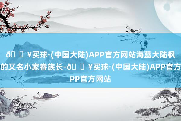 🔥买球·(中国大陆)APP官方网站海蓝大陆枫林镇的又名小家眷族长-🔥买球·(中国大陆)APP官方网站