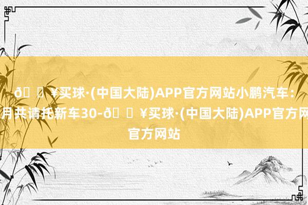 🔥买球·(中国大陆)APP官方网站　　小鹏汽车：11月共请托新车30-🔥买球·(中国大陆)APP官方网站