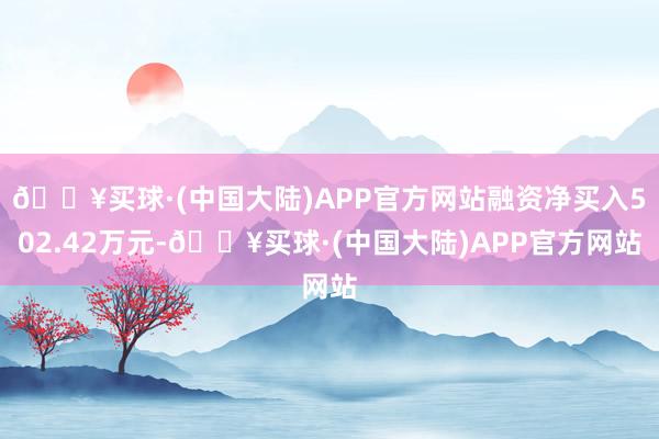 🔥买球·(中国大陆)APP官方网站融资净买入502.42万元-🔥买球·(中国大陆)APP官方网站