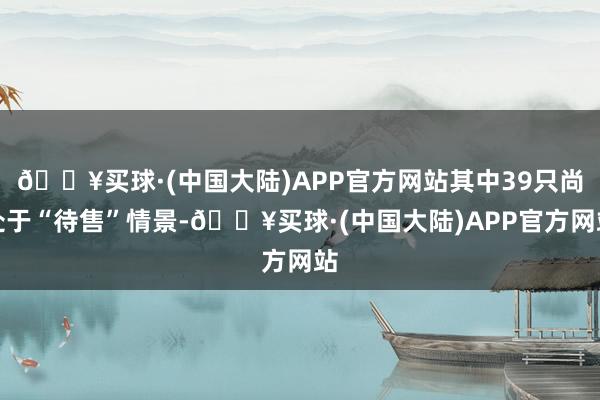 🔥买球·(中国大陆)APP官方网站其中39只尚处于“待售”情景-🔥买球·(中国大陆)APP官方网站