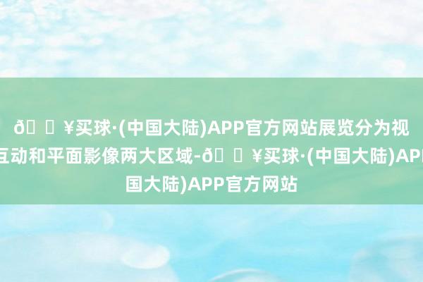 🔥买球·(中国大陆)APP官方网站展览分为视频多媒体互动和平面影像两大区域-🔥买球·(中国大陆)APP官方网站