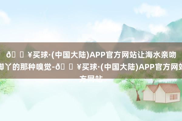 🔥买球·(中国大陆)APP官方网站让海水亲吻脚丫的那种嗅觉-🔥买球·(中国大陆)APP官方网站