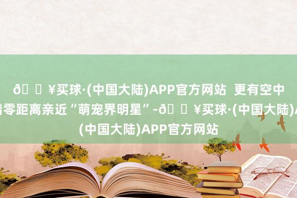 🔥买球·(中国大陆)APP官方网站  更有空中萌宠乐土不错零距离亲近“萌宠界明星”-🔥买球·(中国大陆)APP官方网站