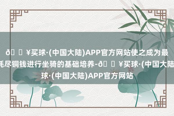 🔥买球·(中国大陆)APP官方网站使之成为最强助力？通过耗尽铜钱进行坐骑的基础培养-🔥买球·(中国大陆)APP官方网站