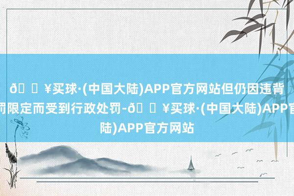 🔥买球·(中国大陆)APP官方网站但仍因违背外汇责罚限定而受到行政处罚-🔥买球·(中国大陆)APP官方网站